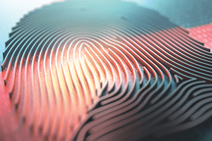 identity-access-fingerprint-navtile-nec.png