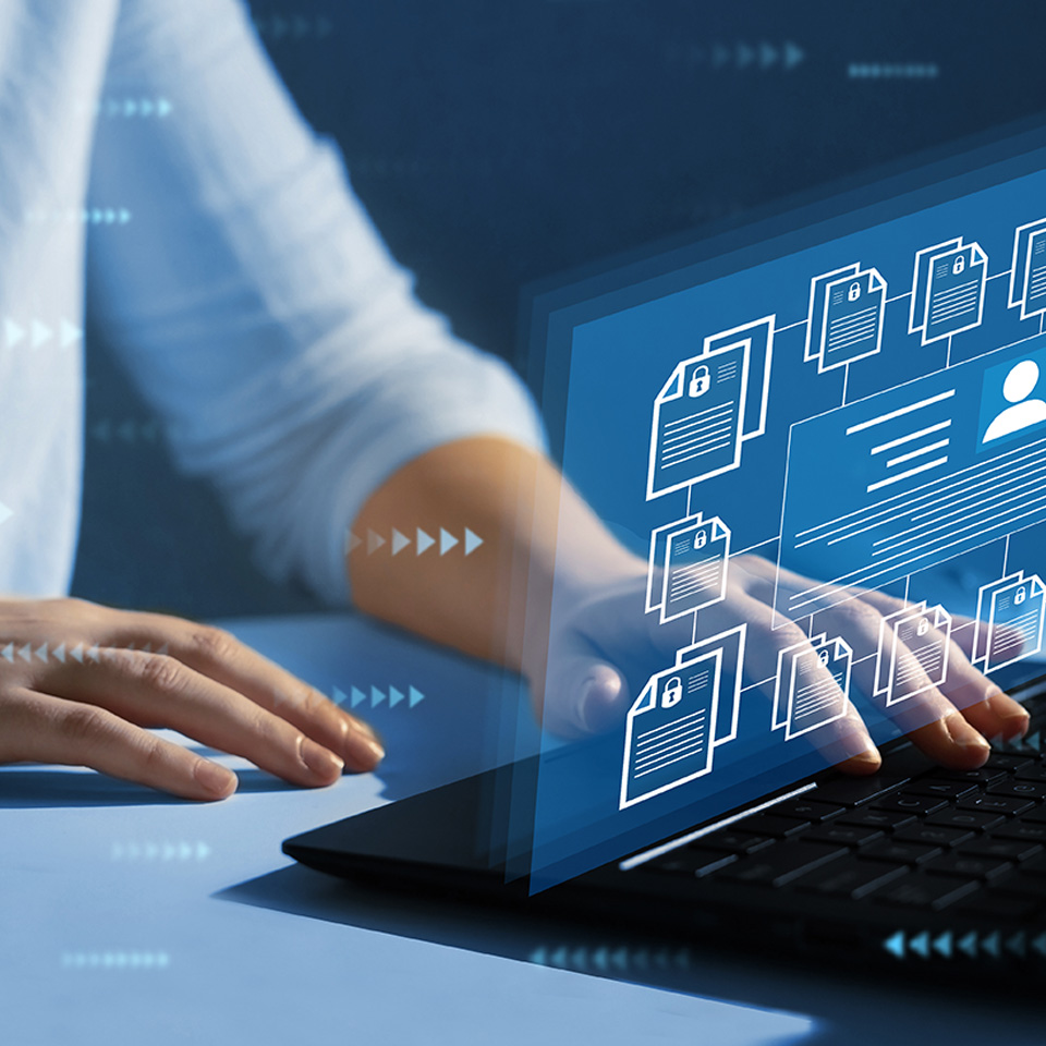 Assistive Document Redaction