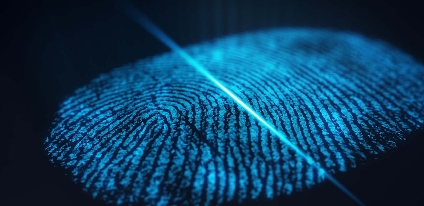 Streamline fingerprint identification