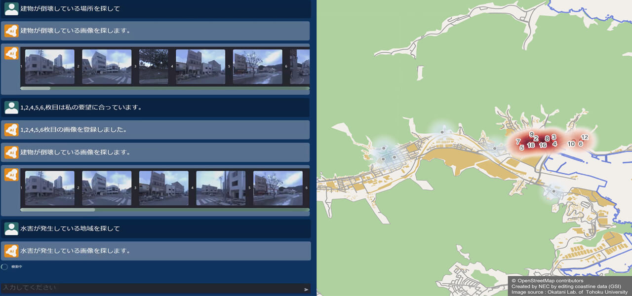 Disaster Damage Assessment