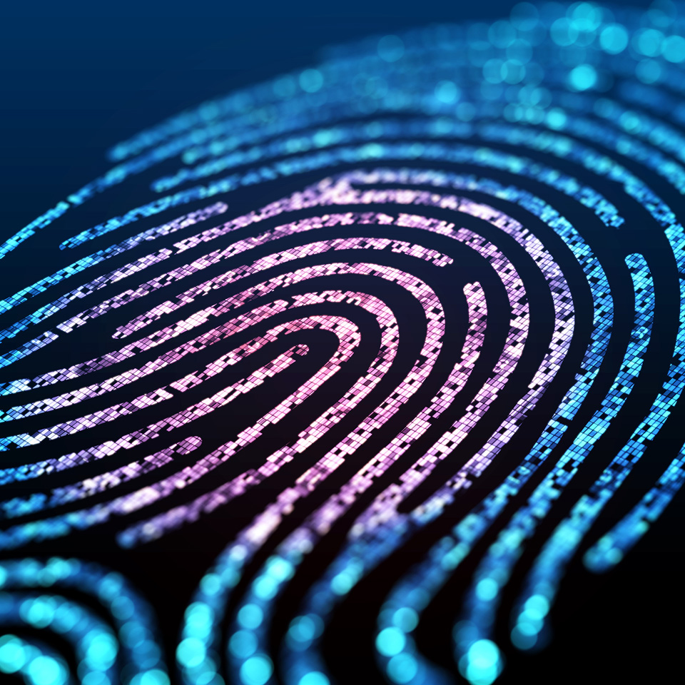 Biometrics and Digital Identity