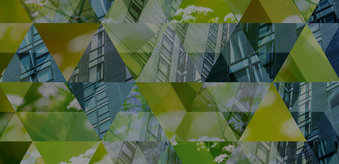 Sustainable Network Design